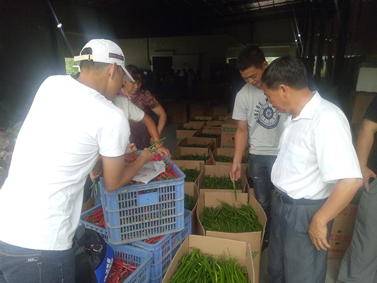 优发国际·随优而动一触即发