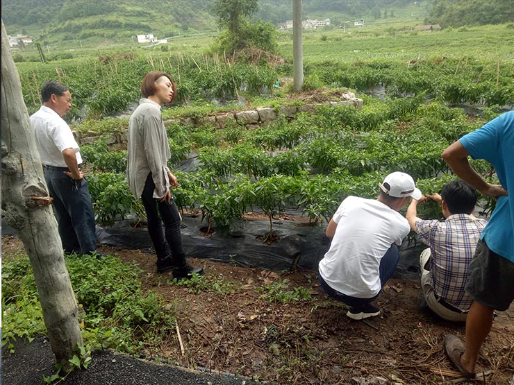 优发国际·随优而动一触即发