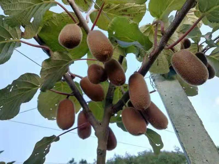 优发国际·随优而动一触即发