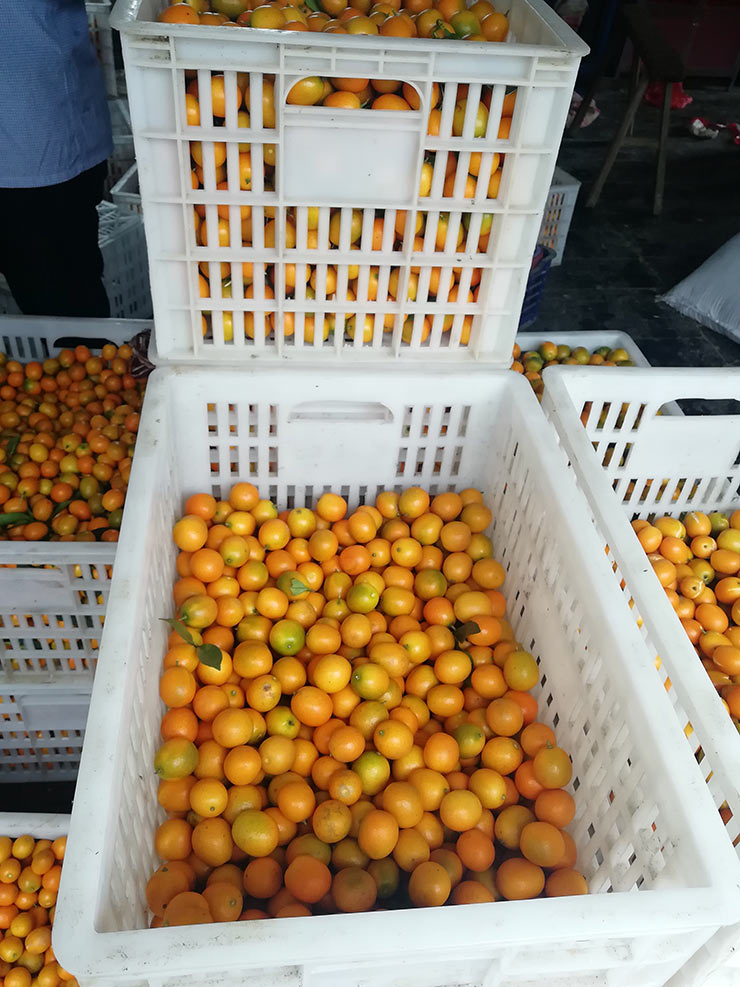 优发国际·随优而动一触即发