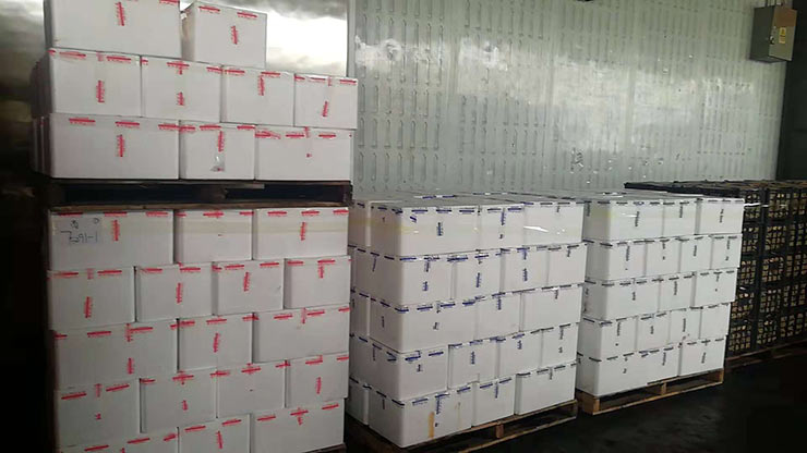 优发国际·随优而动一触即发