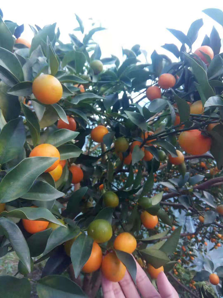 优发国际·随优而动一触即发