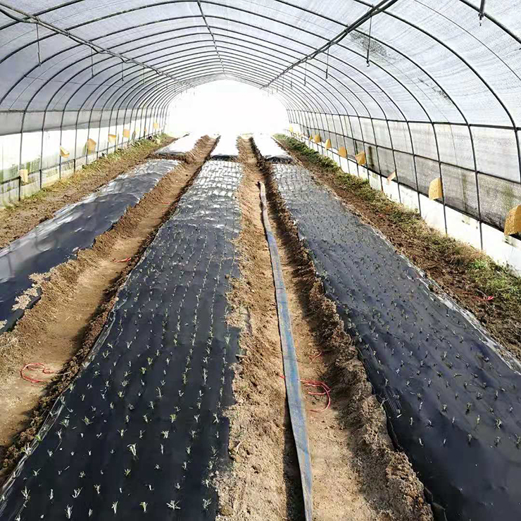 优发国际·随优而动一触即发