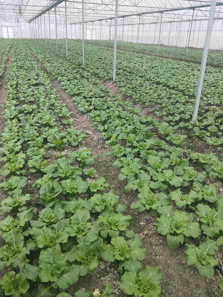 优发国际·随优而动一触即发