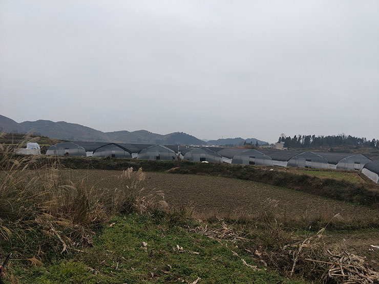 优发国际·随优而动一触即发