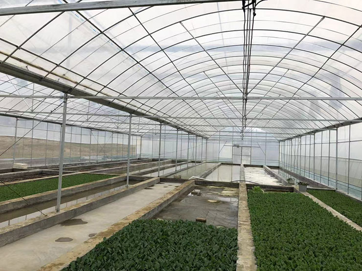 优发国际·随优而动一触即发