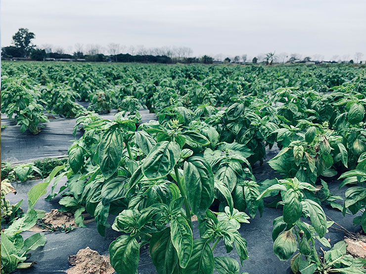 优发国际·随优而动一触即发