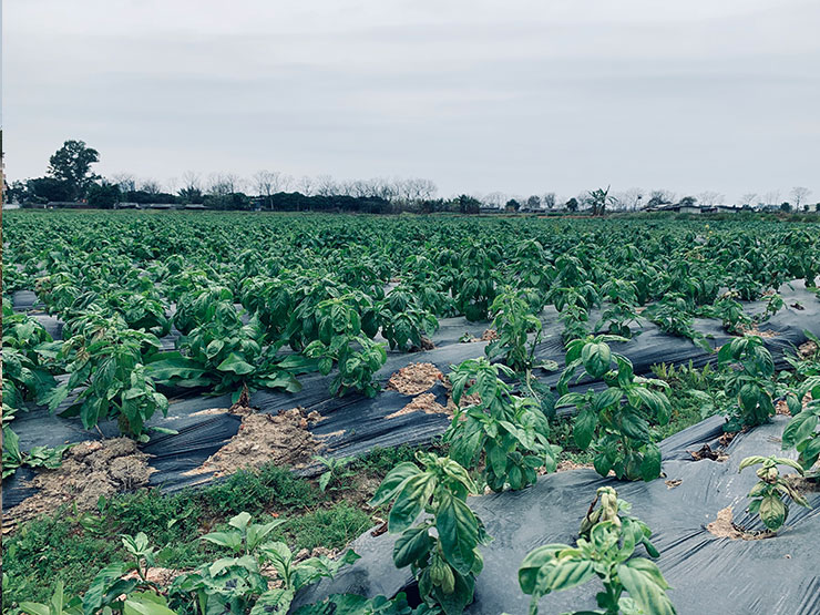 优发国际·随优而动一触即发