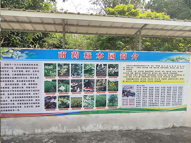 优发国际·随优而动一触即发