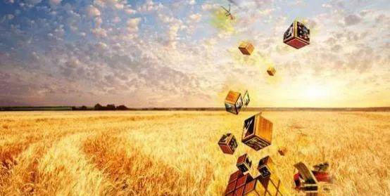 优发国际·随优而动一触即发