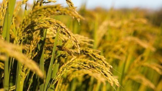 优发国际·随优而动一触即发