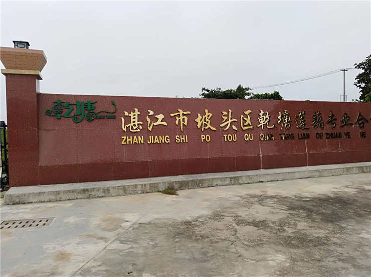 优发国际·随优而动一触即发