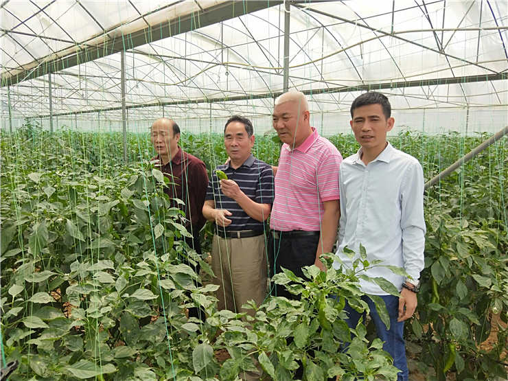 优发国际·随优而动一触即发