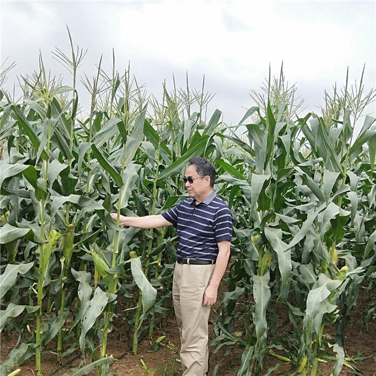 优发国际·随优而动一触即发