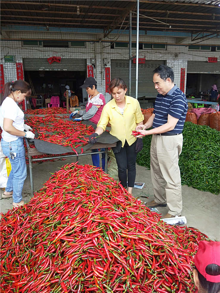 优发国际·随优而动一触即发
