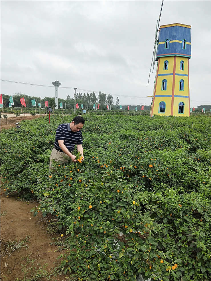 优发国际·随优而动一触即发