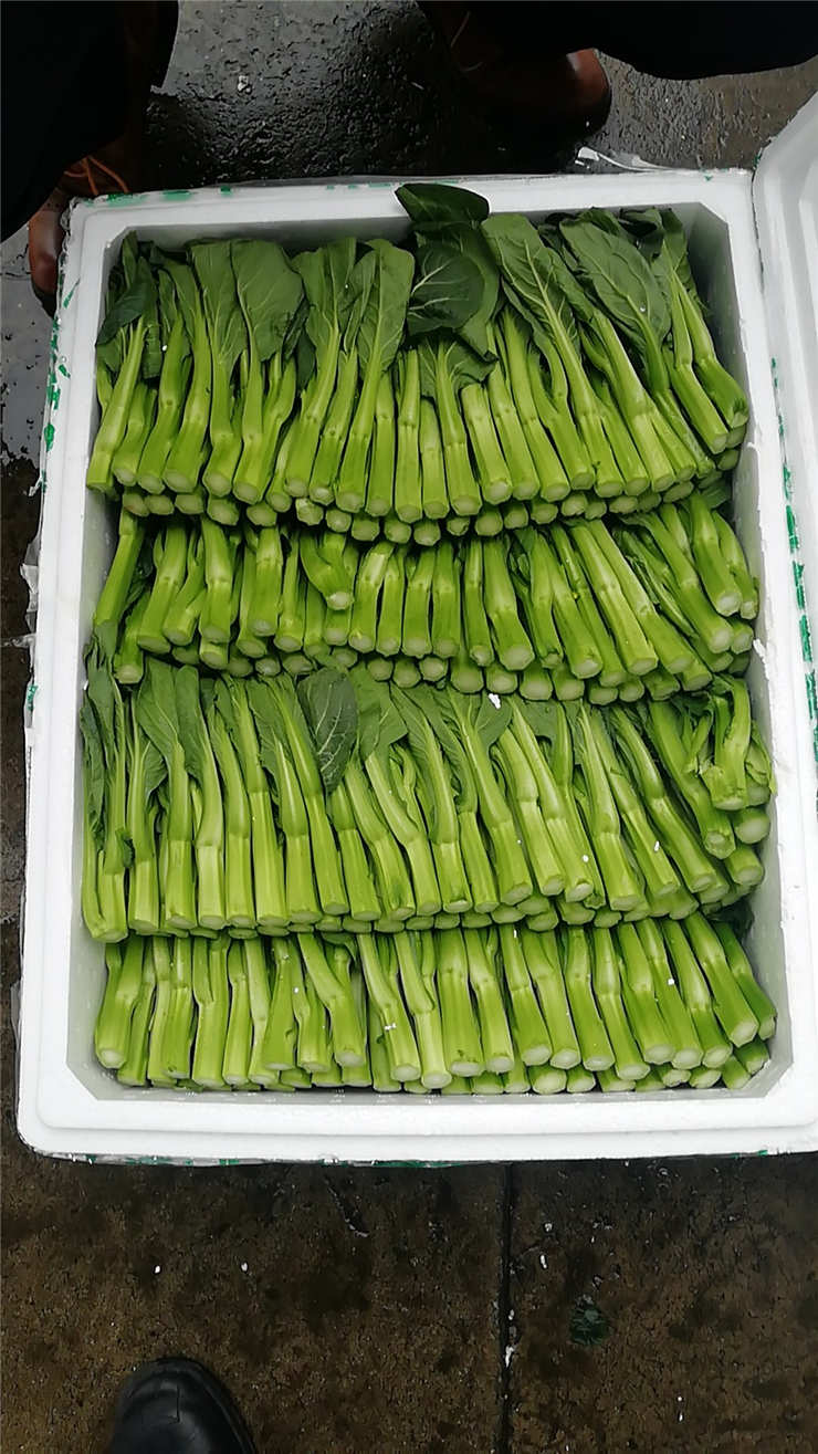 优发国际·随优而动一触即发