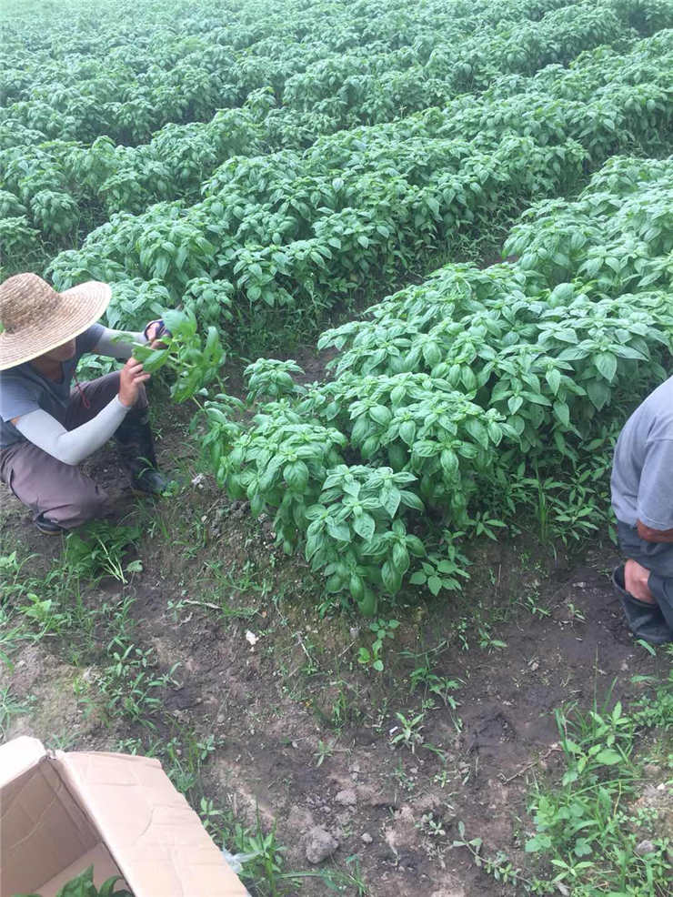 优发国际·随优而动一触即发