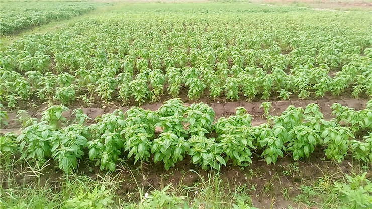 优发国际·随优而动一触即发