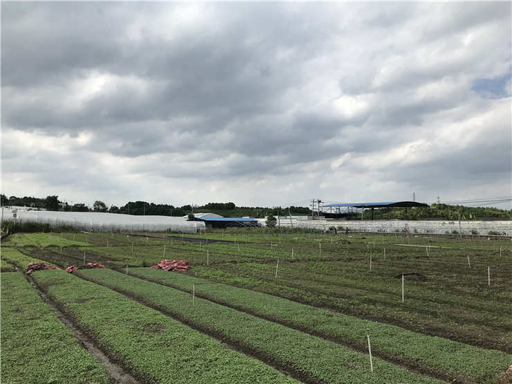 优发国际·随优而动一触即发