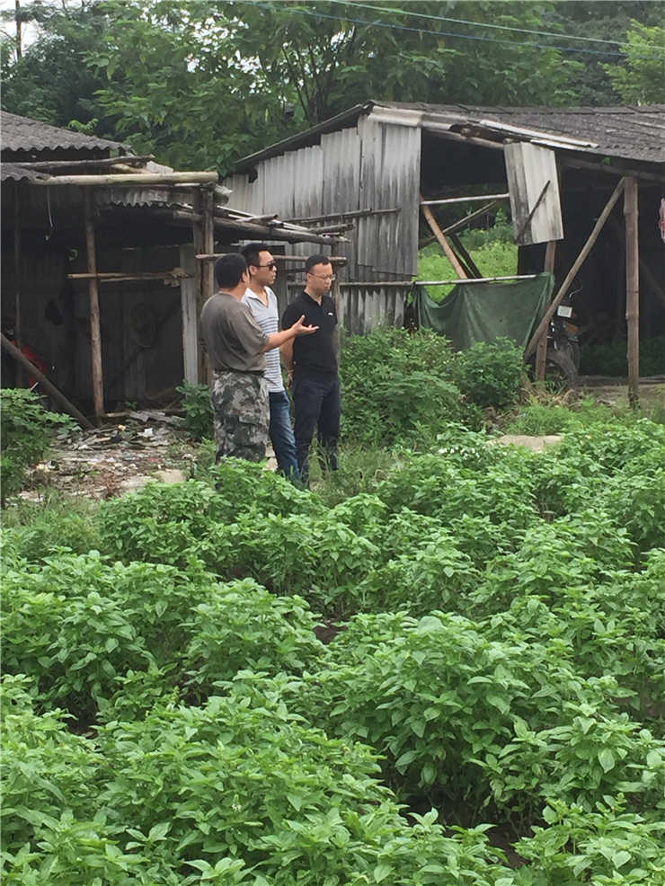 优发国际·随优而动一触即发