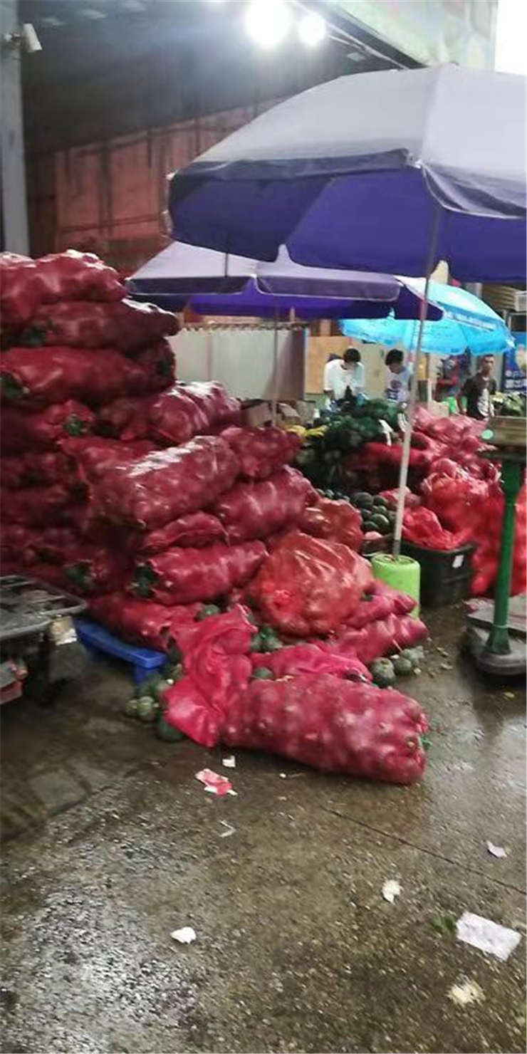 优发国际·随优而动一触即发