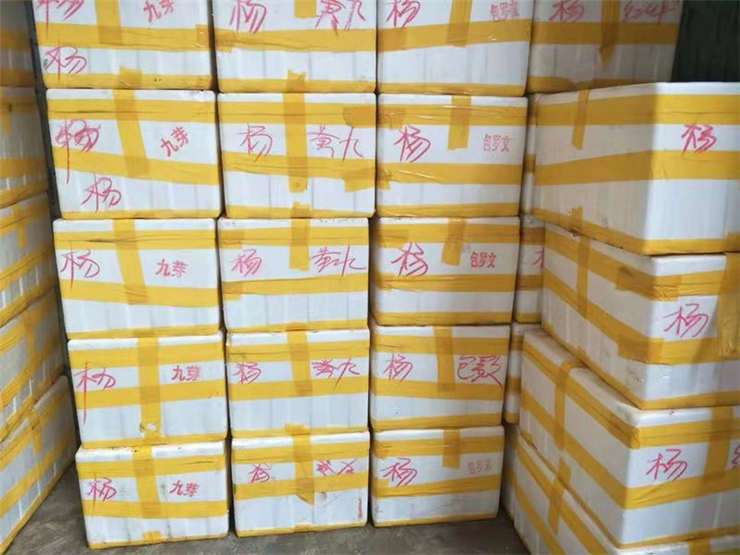 优发国际·随优而动一触即发