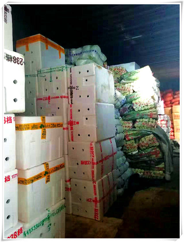 优发国际·随优而动一触即发