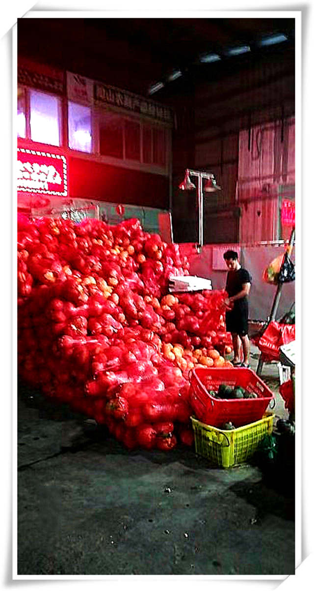 优发国际·随优而动一触即发