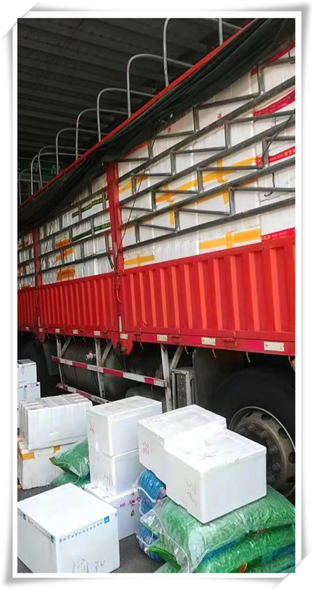 优发国际·随优而动一触即发