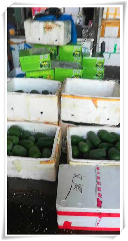 优发国际·随优而动一触即发