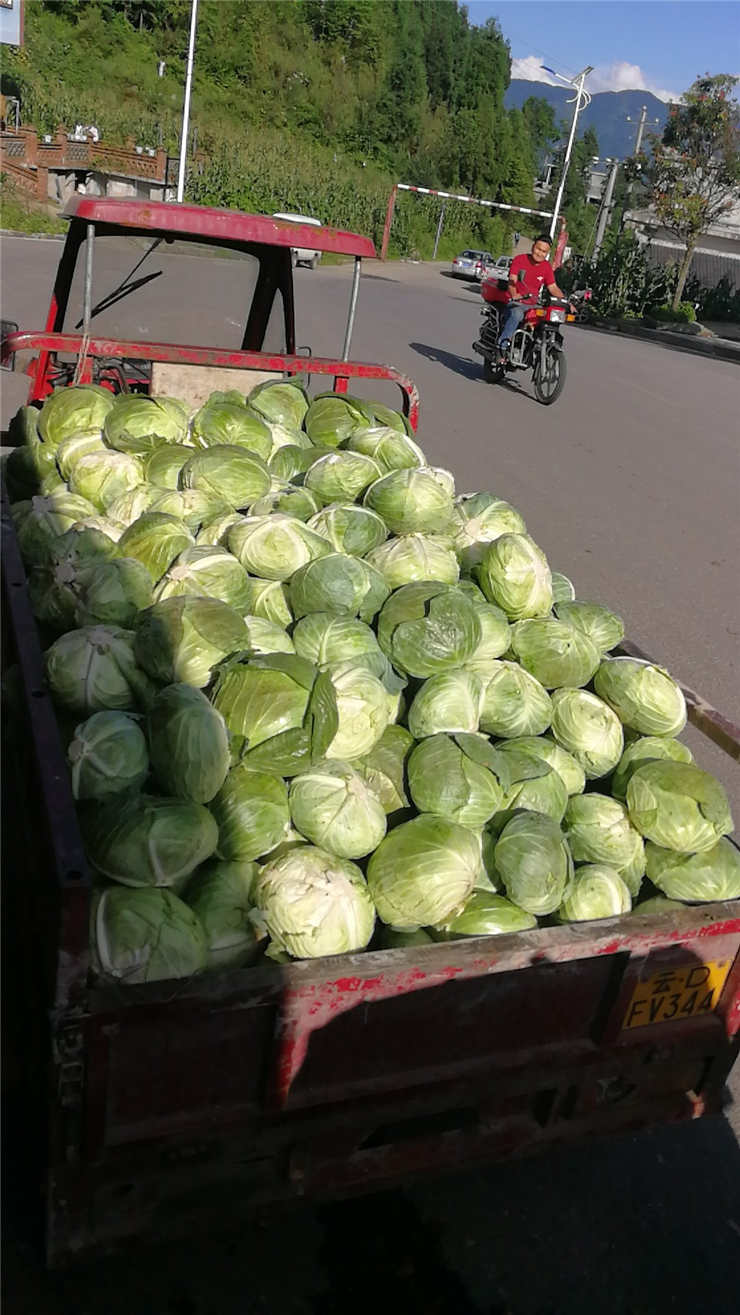 优发国际·随优而动一触即发