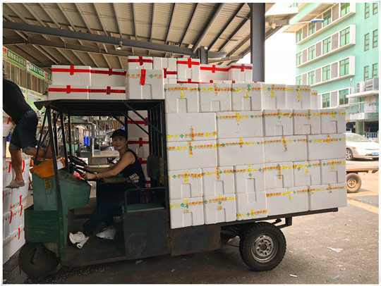 优发国际·随优而动一触即发