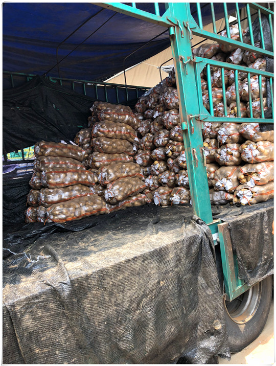 优发国际·随优而动一触即发