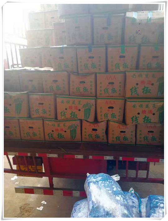 优发国际·随优而动一触即发