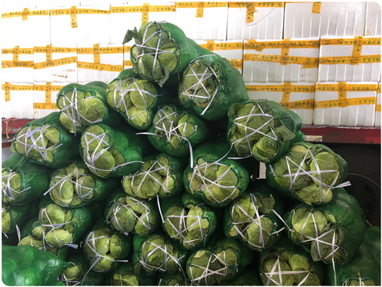 优发国际·随优而动一触即发