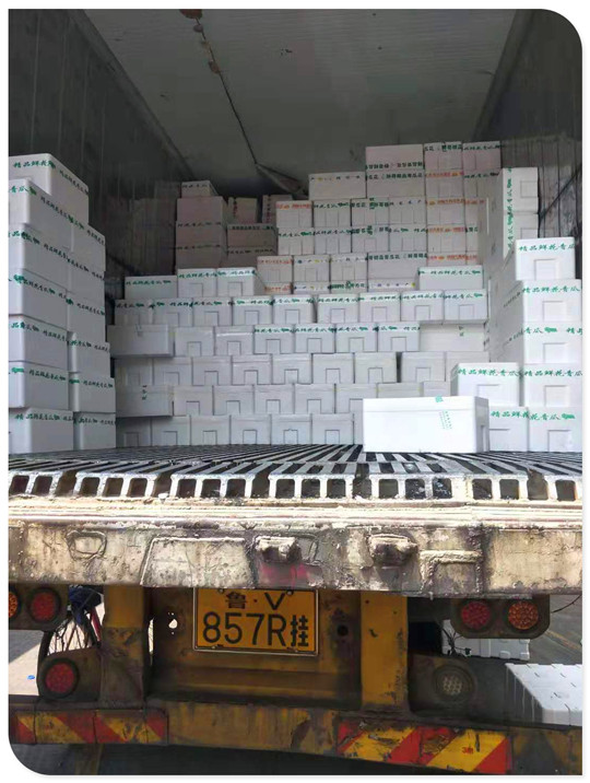 优发国际·随优而动一触即发