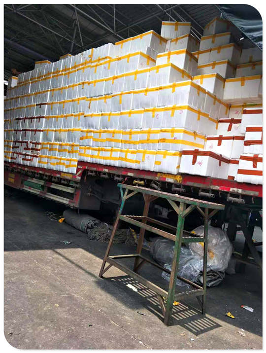 优发国际·随优而动一触即发