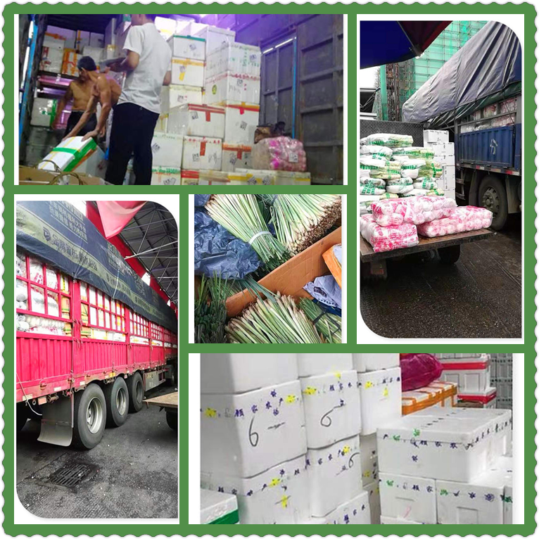 优发国际·随优而动一触即发