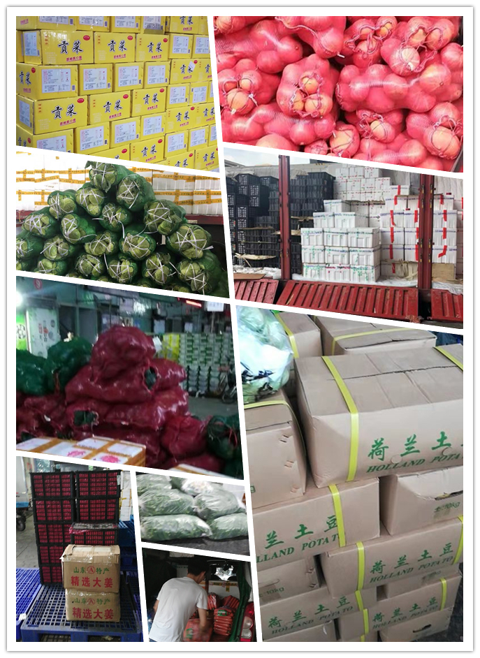 优发国际·随优而动一触即发