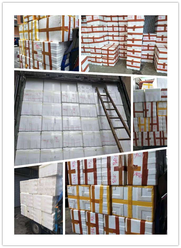 优发国际·随优而动一触即发