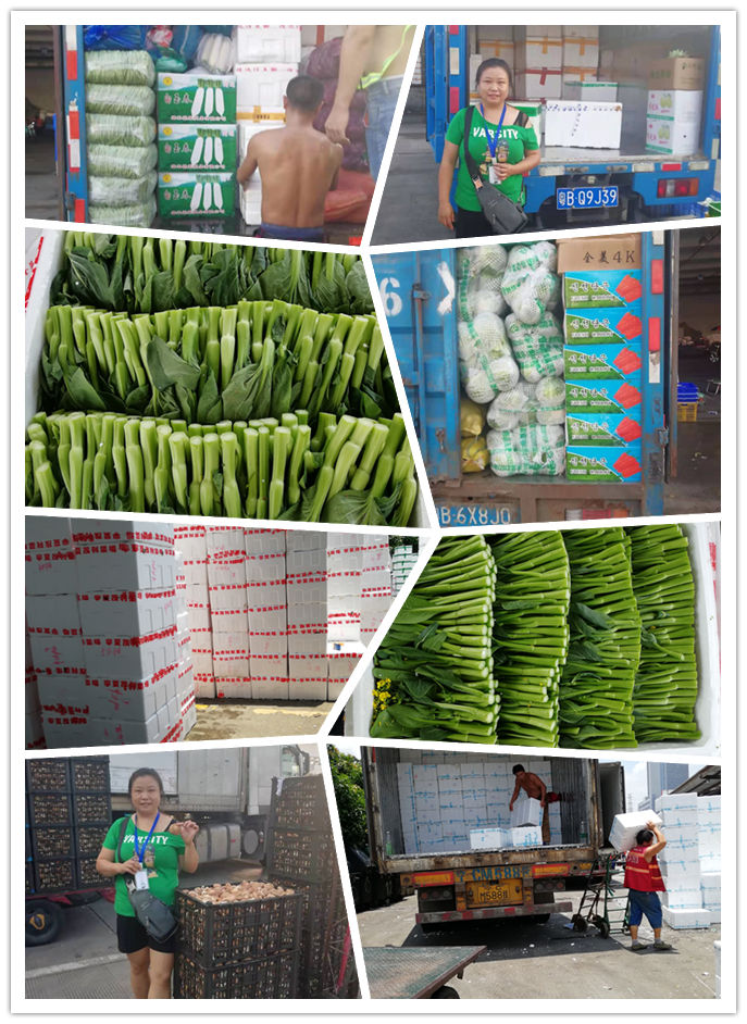 优发国际·随优而动一触即发