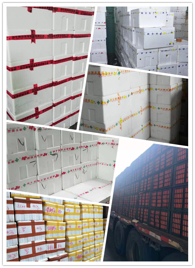 优发国际·随优而动一触即发