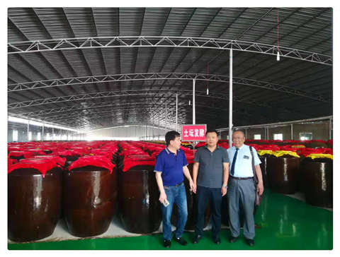 优发国际·随优而动一触即发