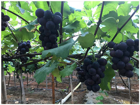 优发国际·随优而动一触即发