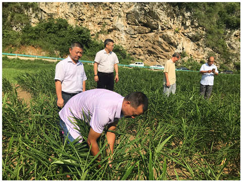 优发国际·随优而动一触即发