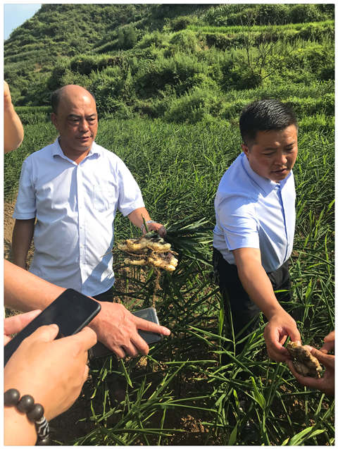 优发国际·随优而动一触即发