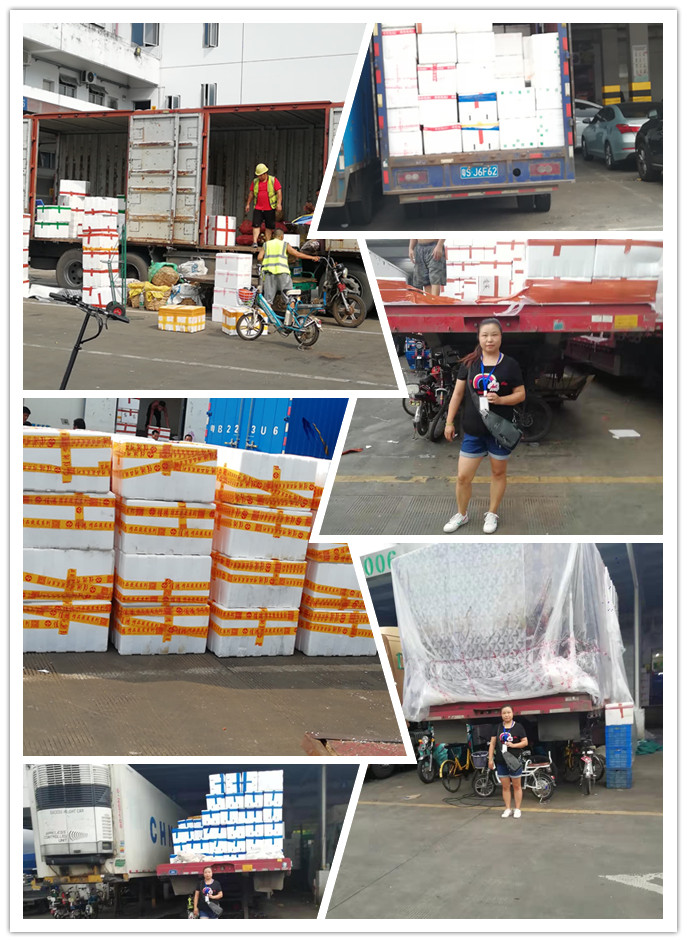 优发国际·随优而动一触即发