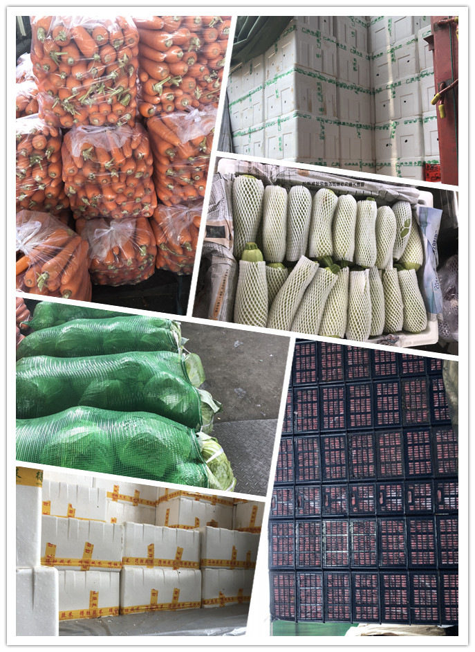 优发国际·随优而动一触即发