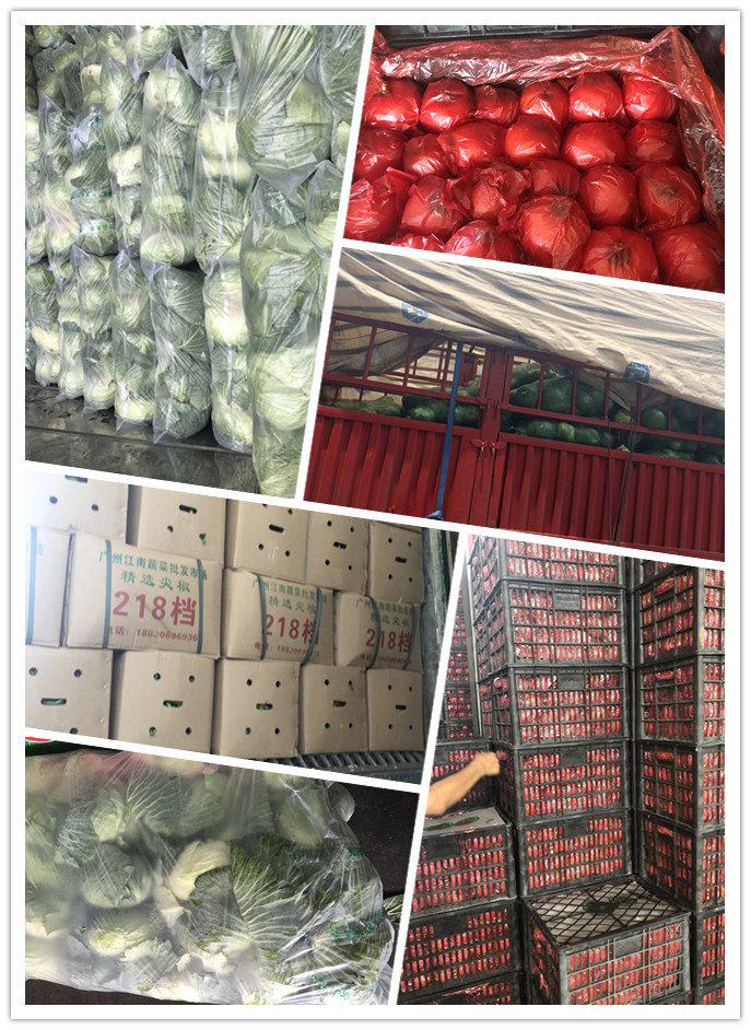 优发国际·随优而动一触即发